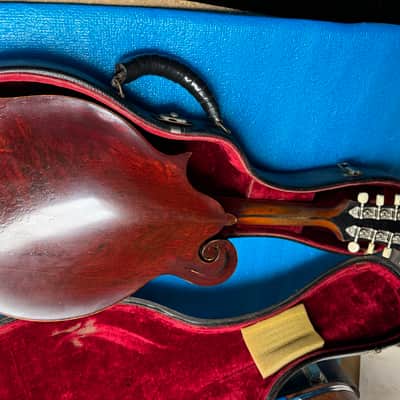 Gibson F-2 1918-1920's - Sunburst #SR-11-24 image 12