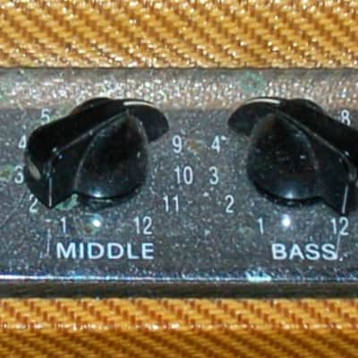 Fender Custom Shop Bass Breaker 2x12" 40-Watt Combo Amp-2001 image 4
