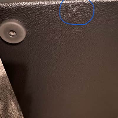 Tyler Amps 212 Neo Bass Cab image 8
