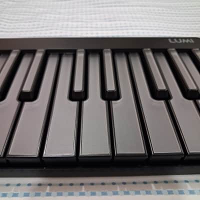 ROLI Lumi Keys 2020 - Present - Black image 8