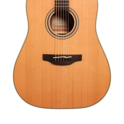 Takamine GD20 - G20 Series Dreadnought Acoustic Guitar - Mahogany - Dealer! - New! - Ships FREE! image 1