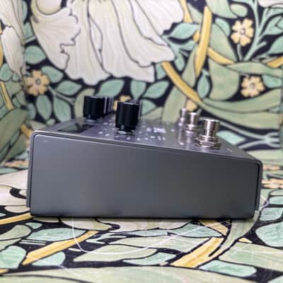 Strymon Timeline - Used image 6