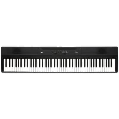 Korg Liano - Stage Piano image 1