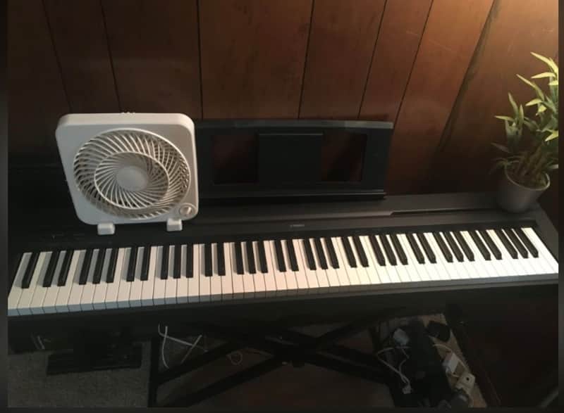 Yamaha PA-150 88 key piano 2020 image 1
