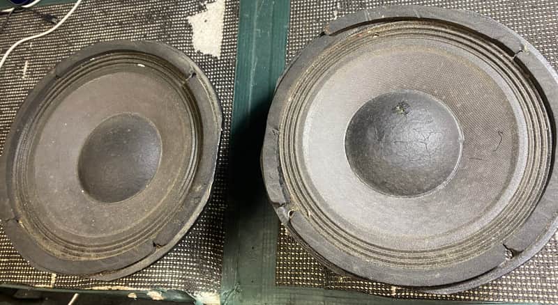 Pair of SWR Goliath 10" Bass Speakers - 4 Ohms - 1 of 2 image 1