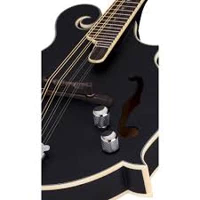 Luna BGM MOON F Moonbird F-Style Mandolin with Electronics - Black image 2