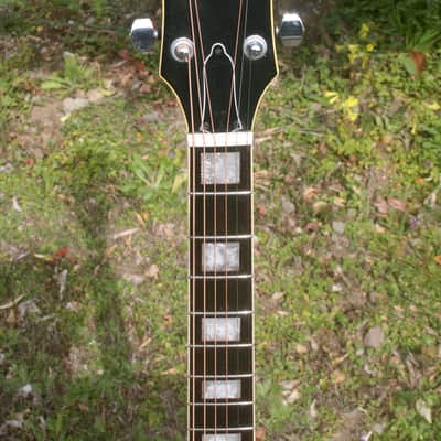 1976 Jagard Hummingbird Model GB-300HN MIJ by Terada Gakki+Hard Case image 5