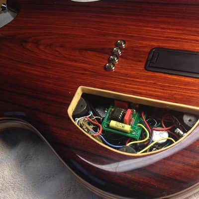 Waldschmidt Guitars - Electric Mandolin - Jerry Garcia, Tiger Guitar style image 4
