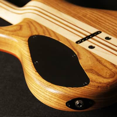 Mayones Regius 6 Flames Master Builder Collection 2014 image 16
