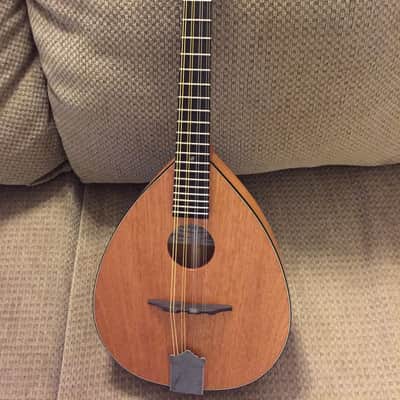 Big Muddy Mandolin - Mahogany image 1
