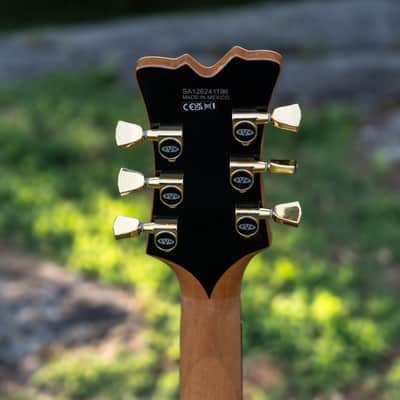 EVH SA-126 Special QM - Tobacco Sunburst EVH SA-126 Special Semi-Hollow Electric guitar - UNPLAYED in Case image 23