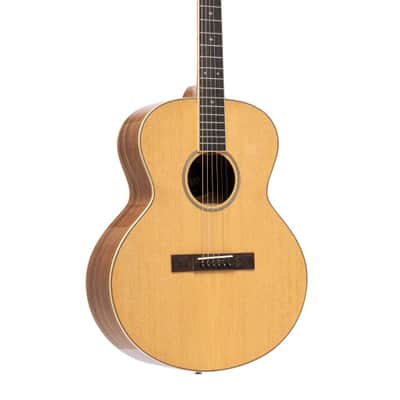 SX DG/LTD2 1999-2000 - Matte Natural Dreadnaught Acoustic Guitar
