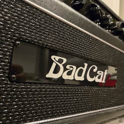 Bad Cat Hot Cat 45 image 1