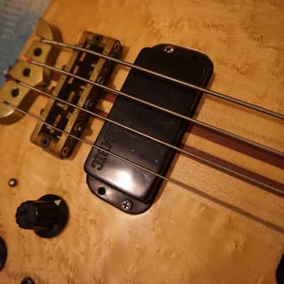 Alembic Distillate Bass 1983 Birdseye Maple and Mahogany Bild 8