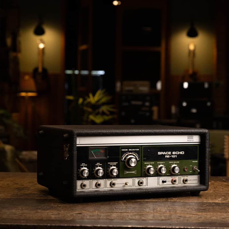 Roland RE-101 Space Echo | Reverb Australia