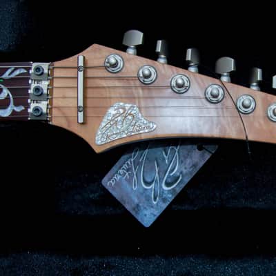 GB Liuteria Boutique Ergal 6 string jem edition image 10