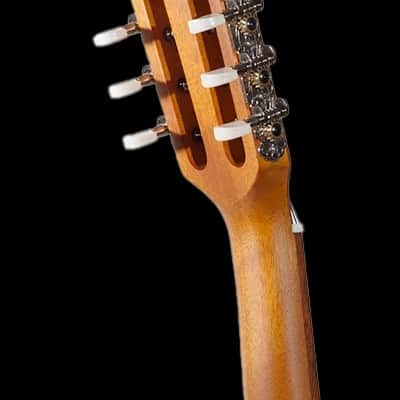 Ohana CK-70-8 Solid Spruce top 8 string Concert Ukulele with Gig Bag - A-/B+ Stk image 7