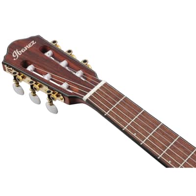 Ibanez FRH10N-IBF - 4/4 classical guitar image 6