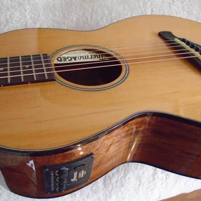 Ibanez ANV9SPE-NT Parlor Guitar natural, demo image 8