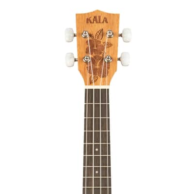 Kala HIBISCUS-C Hibiscus Mahogany Concert Ukulele image 5