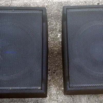Acoustic AM2115 floor stage monitors image 1