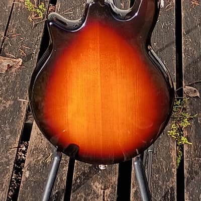 Gold Tone GM-110 Rigel Mandolin 2010s - Tobacco Sunburst image 6