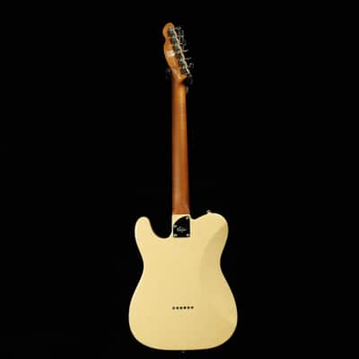TLV-MASTER 10th Anniversary-2 pcs swamp ash(Roasted maple Neck+Rosewood Fingerboard) image 13