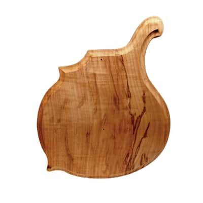 Licensed by Weymann® USA MADE Celestial BIZARRE Body Custom Shop Replacement Body Solid Body Electric image 5
