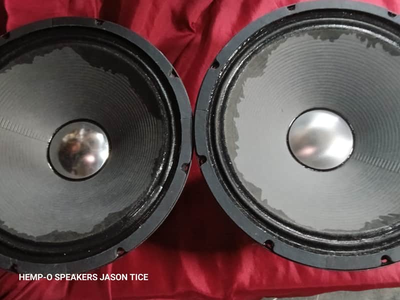 12" SPEAKERS GUITAR/ BASS GUITAR SPEAKERS SUNN MUSIC MAN M12X HIGH EXCURSION TWO AVAILABLE image 1