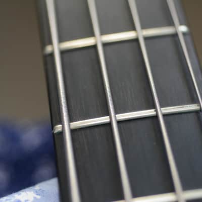 92 Alembic Essence image 15