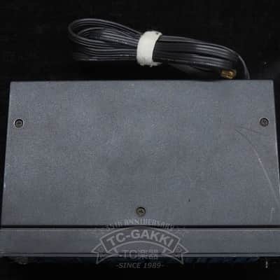 Rockman Sustainor Model 100 image 8