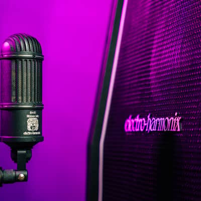 Electro-Harmonix EH-R1 | Studio Quality Ribbon Microphone. New with Full Manufacturer's Warranty! image 6