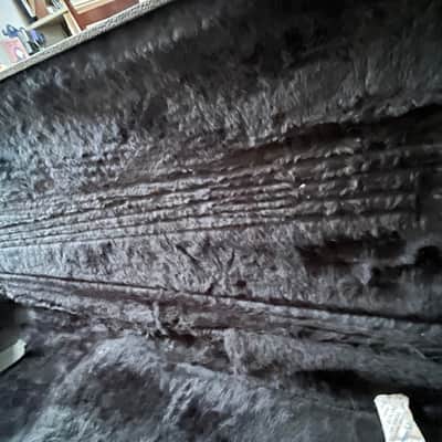Spector 00 1980s - Black tolex image 3