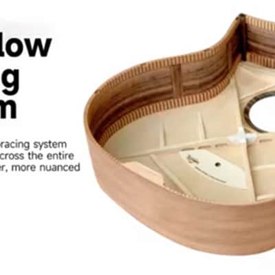 Bromo BAR 5 CE All-Solid Cut-A-Way Acoustic image 9