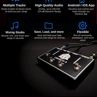 LOOPEREYE-B, The Smart Looper image 5