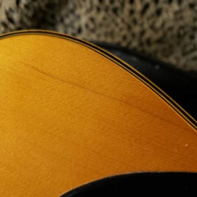 Vintage Fame Acoustic Electric Guitar 747 Chet Atkins MIJ Japan 1970's w/Hard Shell Dean Case! image 12