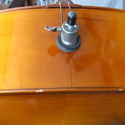 Engelhardt Model 110 4/4 Cello with Gig Bag image 8