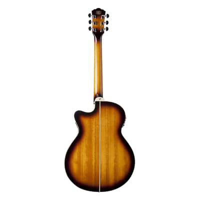 Washburn EA15ATB Festival Series Mini Jumbo Acoustic/Electric Guitar image 8