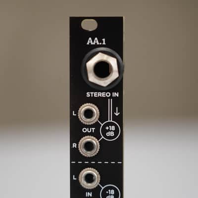 Strymon AA.1 Eurorack Module w/ Braided Patch Cables #58925 image 3