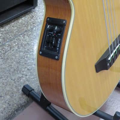 Washburn AB-20 1990s - Gloss Natural Wood With Washburn Case image 3