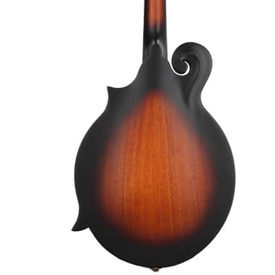 Washburn Americana M108SWK F-Style Mandolin, Solid Spruce Top, Vintage Sunburst image 3