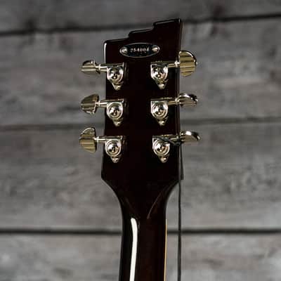 Duesenberg Alliance Series Joe Walsh Signature - Goldburst image 13