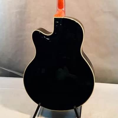 Warwick Rock Bass Alien Standard 4-String Acoustic Bass image 5