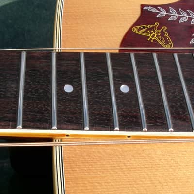 1974 Terada made Morris W25 Humming Bird Style image 20