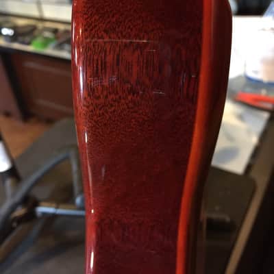 Washburn Custom Shop image 11