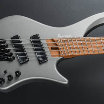 Ibanez EHB1005SMS - Metallic Gray Matte image 1