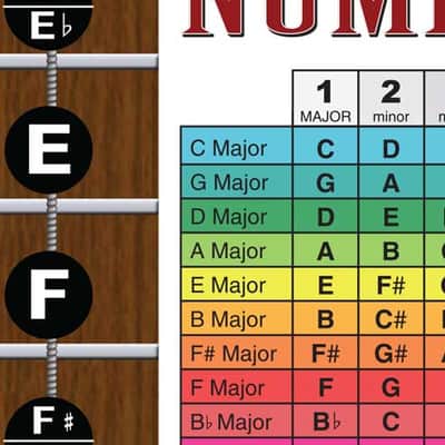 Laminated 4 String Bass Fretboard Chart Poster Nashville Numbering Theory 11x17 Beginner Easy image 8