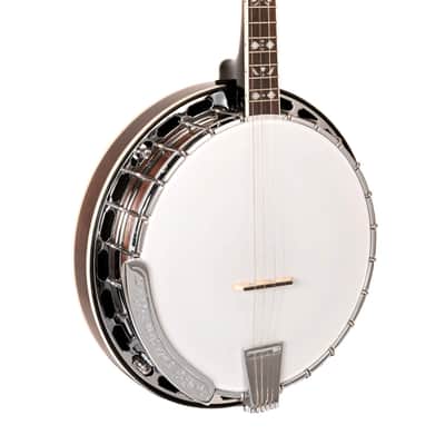 Gold Tone TS-250 Tenor Special 4-String Banjo w/Hardshell Case image 1