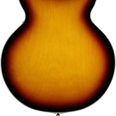 Epiphone Sheraton Semi-Hollowbody Electric Guitar (with Gig Bag), Vintage Sunburst, with Gold Hardware image 4