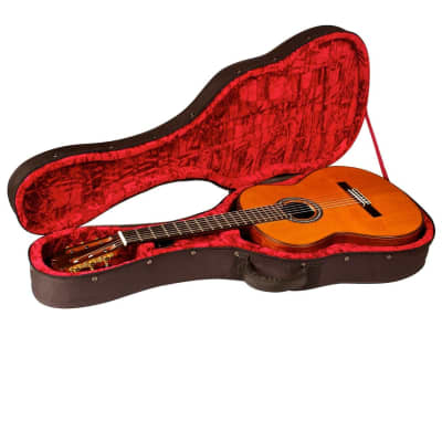 Cordoba C10 Parlor - ⅞  Size Classical Guitar - Solid Spruce Top, Solid Indian Rosewood back/sides image 5